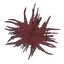 essie-SoberShip-1.3.0 icon