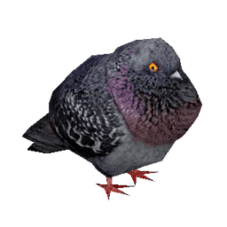 famishedfish-LoreInaccurateBirds icon