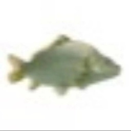 fishmeat-fishmeater icon