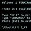 food-BashTerm-0.2.1 icon