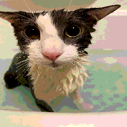 fri-SoggyFlash icon