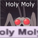 funny-HolyMoly-0.0.2 icon