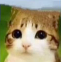 gamus-Meowl icon