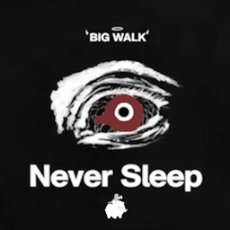 gogogadgetjustice-NeverSleep icon