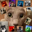 gruggy-DumbPaintings icon