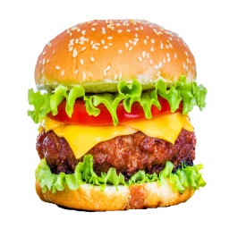 hambruhger-modpack_oohyeah icon
