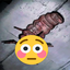 igulindo123-SnareSus-1.1.1 icon