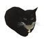 ilovecats-suitsforfriends-1.0.2 icon