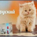 iveniuss-Legendary_Russian_Translation-1.0.1 icon