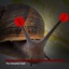 jaaj-DarkSoulsSnail-1.0.3 icon