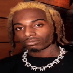 lignjari-carti_jester icon