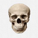 lolbenad-sigmaTVbyLolbenad icon