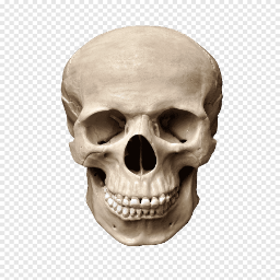 lolbenad-sigmaTVbyLolbenad icon