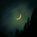 luuhooo-The_Wilds-1.2.0 icon