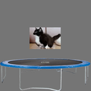 m0nolit-TV_cat_Jumping-1.0.0 icon