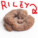 mckahz8d650b0d65024088-RileyIsSh_t-0.0.3 icon