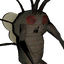 meowowowowo-CoolBugFactS-1.0.0 icon