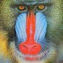 mereketengue-Songs icon
