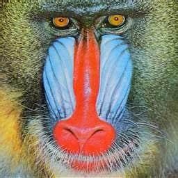 mereketengue-Songs icon
