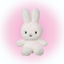 meringue-MeriModpack icon