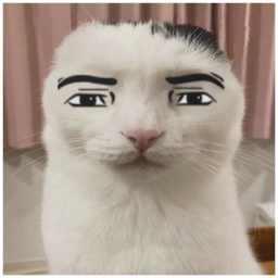 mggisnono-MyTV icon