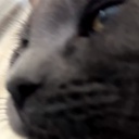 modpackthing-Retard_Company icon