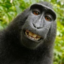 monkeproductions-monkemodpackDELUXE icon