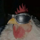 mrmalechicken-NevermindLCVR icon