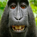 mrnat-Quality_of_life_pack icon