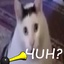 name1es_s-Clown_Horn_HUH-1.0.0 icon