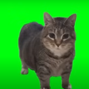 nebas-neba icon
