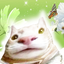 neekolas-i_heart_cat_videos-1.0.0 icon