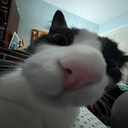 notSoFunny-LC_modpack icon