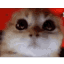 oi-VanillaChocolate icon