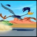 pineapple3333-Roadrunner_looney_Tunes_Clips-1.0.0 icon