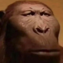 plucas-MonkePack-1.0.5 icon