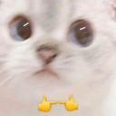 potatos-TestMod icon