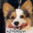 puihamyawmak-NoppoMum-1.0.1 icon
