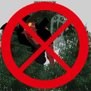 ryuka_labs-No_Forest_Ambush-1.2.0 icon