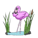 salcin-Salcins_Skins-1.0.5 icon