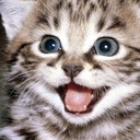sami-Samis_Fun_modpack icon