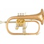 sau6son-bugle_musics-1.0.0 icon