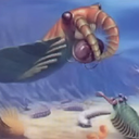 shment_Gaming-Anomaloadercaris icon