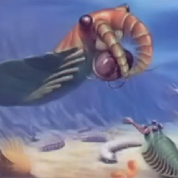 shment_Gaming-Anomaloadercaris icon