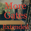 shudnal-MoreGatesExtended-1.0.0 icon