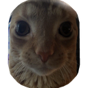 smongus-MONKEYMODS icon