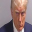 spriteybagel-Trump-1.0.1 icon