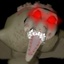 stevi-Vicious_Baboon_Hawks-1.0.0 icon