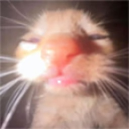 takaria-TakaTones icon