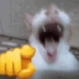 thekagamiest-EmployeeLaughingAtYou icon
